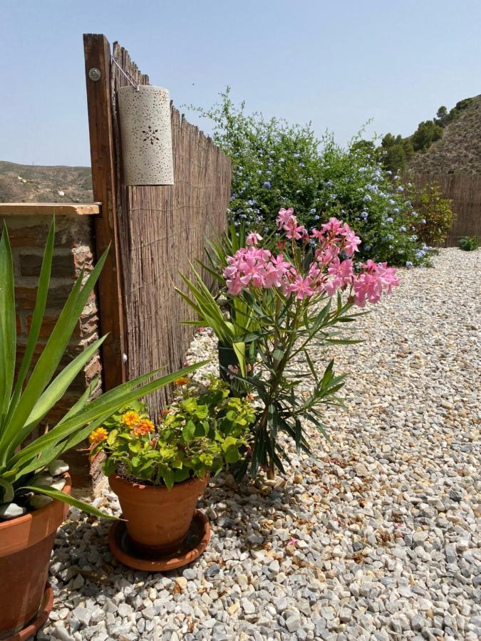 Cortijo Perejil, A Tranquil Mountain Escape & Private Pool Daire Oria Dış mekan fotoğraf